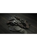 Hunt: Showdown - Bark, Bone and Blood DLC * STEAM RU