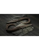 Hunt: Showdown - Bark, Bone and Blood DLC * STEAM RU