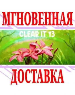 ClearIt 13 SteamРФ+Весь МирKey + Бонус