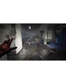 DBD - Spark of Madness Chapter Steam Key/Все страны