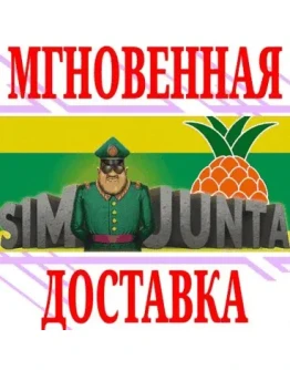 Sim Junta SteamРФ+Весь МирKey + Бонус