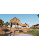 Planet Zoo: Arid Animal Pack DLC * STEAM RU