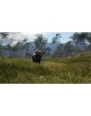 theHunter: Call of the Wild - Emerald Coast Australia