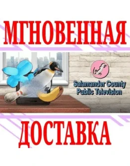 Salamander County Public Television SteamРФ+МирKey