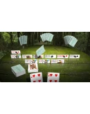 Rummy 3D Premium АВТОДОСТАВКА STEAM GIFT РОССИЯ
