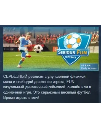 Serious Fun Football АВТОДОСТАВКА STEAM GIFT РОССИЯ