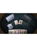 Skat 3D Premium АВТОДОСТАВКА STEAM GIFT РОССИЯ