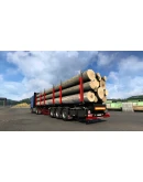 Euro Truck Simulator 2 - Schwarzmller Trailer Pack