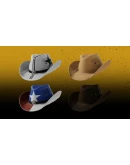 PAYDAY 2: Southbound Tailor Pack DLC * STEAM RU