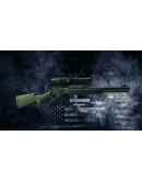 PAYDAY 2: Weapon Color Pack 3 DLC * STEAM RU