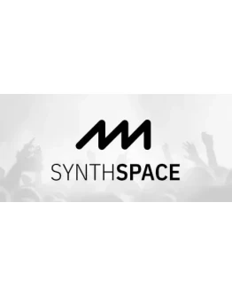 SYNTHSPACE АВТОДОСТАВКА STEAM GIFT РОССИЯ