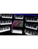 SYNTHSPACE АВТОДОСТАВКА STEAM GIFT РОССИЯ