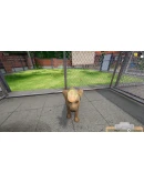 ANIMAL SHELTER SIMULATORXBOX ONE/XSКЛЮЧ