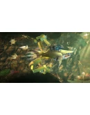 HUNGRY SHARK WORLDXBOX ONE/XSКЛЮЧ HUNGRY SHARK WORLDXBOX ONE/XSКЛЮЧ