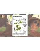 LITTLE MOUSE'S ENCYCLOPEDIA + CLUMSY RUSHXBOX КЛЮЧ