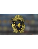 CS:GO 2 PRIME STATUSSTEAM GIFT РФ/KZ/UA CS:GO 2 PRIME STATUSSTEAM GIFT РФ/KZ/UA