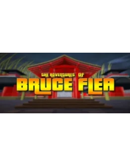 The Adventures of Bruce Flea STEAM KEY REGION FREE
