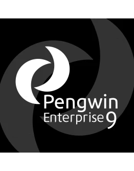 Pengwin Enterprise 9 Windows ПК КЛЮЧ