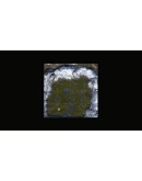 Icarus: Everbark Forest Outpost DLC - STEAM RU