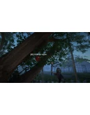 Devil's Island АВТОДОСТАВКА STEAM GIFT РОССИЯ