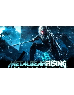 METAL GEAR RISING: REVENGEANCE Steam/Global