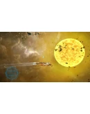 Starpoint Gemini 2 Xbox OneXS активация