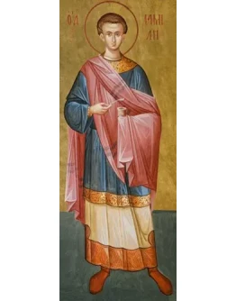 Дамиан, мч_001(75х194см)