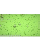 Collectamon * STEAM РОССИЯ АВТОДОСТАВКА 0 КАРТЫ