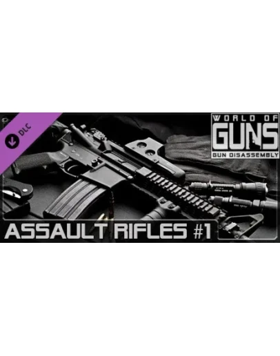 World of Guns: Assault Rifles Pack #1 DLC STEAM GIFT