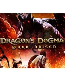 Dragon's Dogma: Dark Arisen STEAM Аккаунтна 90 дней