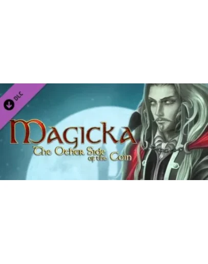 Magicka: The Other Side of the Coin DLC * STEAM RU