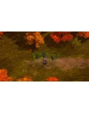 Magicka: The Other Side of the Coin DLC * STEAM RU