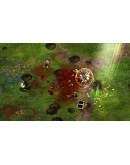 Magicka: Party Robes DLC * STEAM RU АВТО 0