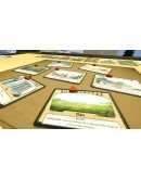 Tiny Epic Defenders DLC * STEAM RU АВТО 0