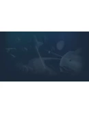 Lord of Rigel Steam РУ+UA+KZ+СНГ