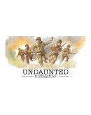 Undaunted Normandy Steam РУ+UA+KZ+СНГ Undaunted Normandy Steam РУ+UA+KZ+СНГ