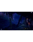 Noch 2021 АВТОДОСТАВКА STEAM GIFT РОССИЯ