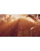 Maize XBOX ONE / XBOX SERIES XS Игровой Ключ Код