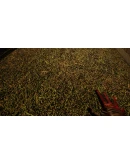 Touch Grass Together * STEAM RU АВТО 0
