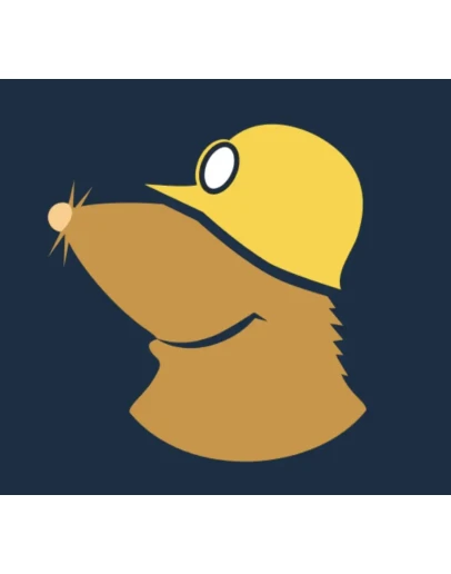 Mullvad VPN Подписка 30 дней