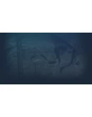 AIKAGI After Days Steam РУ+UA+KZ+СНГ