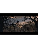 True Fear: Forsaken Souls Part 2 Xbox активация