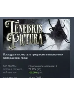 Tenebris Pictura АВТОДОСТАВКА STEAM GIFT РОССИЯ