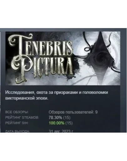 Tenebris Pictura АВТОДОСТАВКА STEAM GIFT РОССИЯ