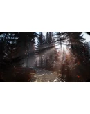 Great North Shelter 2 * STEAM RU АВТО 0