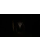 The Hunted * STEAM РОССИЯ АВТОДОСТАВКА 0 КАРТЫ