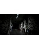 Araha : Curse of Yieun Island STEAM GIFT РОССИЯ