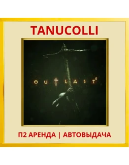 Outlast 2 (PS/PS4/PS5/RU) Аренда от 7 суток