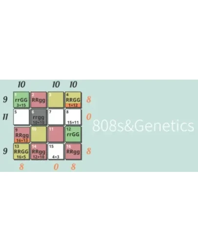 808s&ampGenetics * STEAM РОССИЯ АВТОДОСТАВКА 0 КАРТЫ