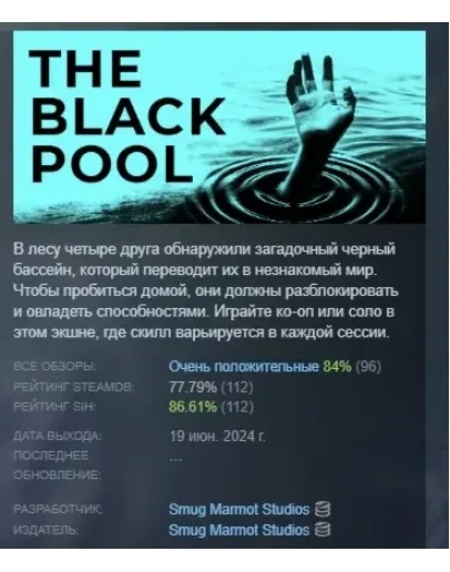 The Black Pool АВТОДОСТАВКА STEAM GIFT РОССИЯ The Black Pool АВТОДОСТАВКА STEAM GIFT РОССИЯ